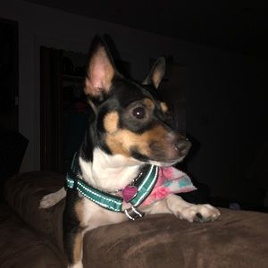 Meet your Posher, Ester